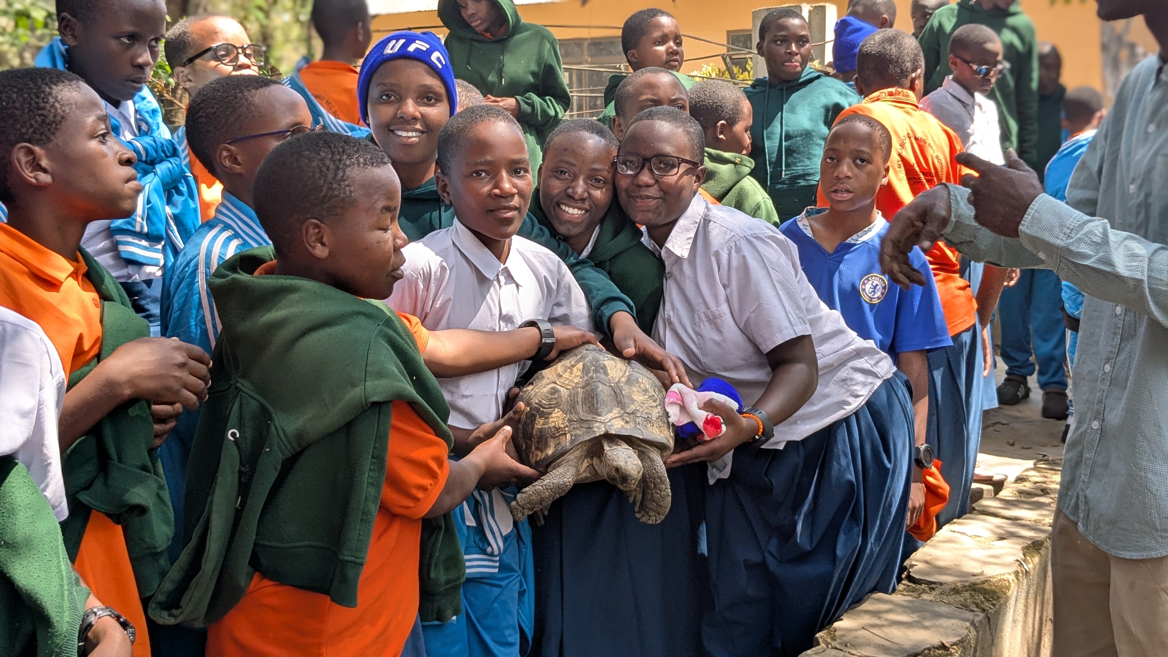 Turtles and students together